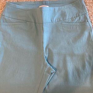 Van heusen pull on cropped leg pants. Seafoam  size 12